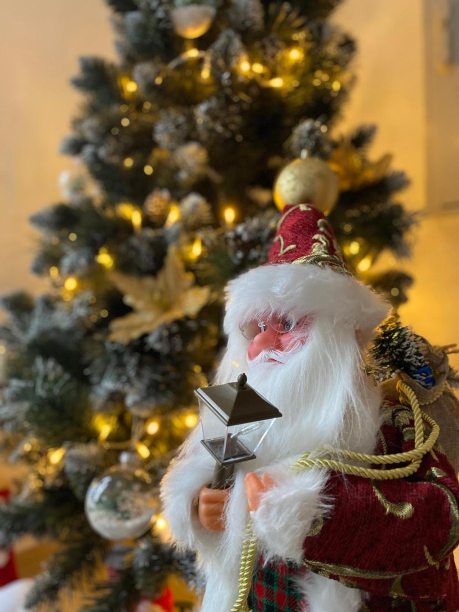 Wonderland Apartment Bistriţa Εξωτερικό φωτογραφία
